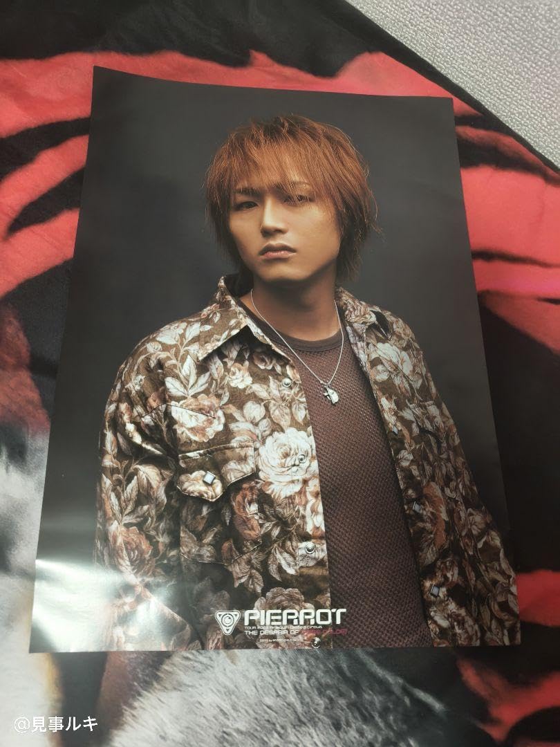 Amazon.co.jp: Pierrot ビジュアル系バンド ポスター 6枚セット : おもちゃ